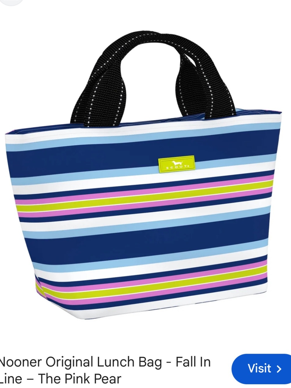 Scout Striped Tote in Navy, White, Light Blue, Pink & Lime